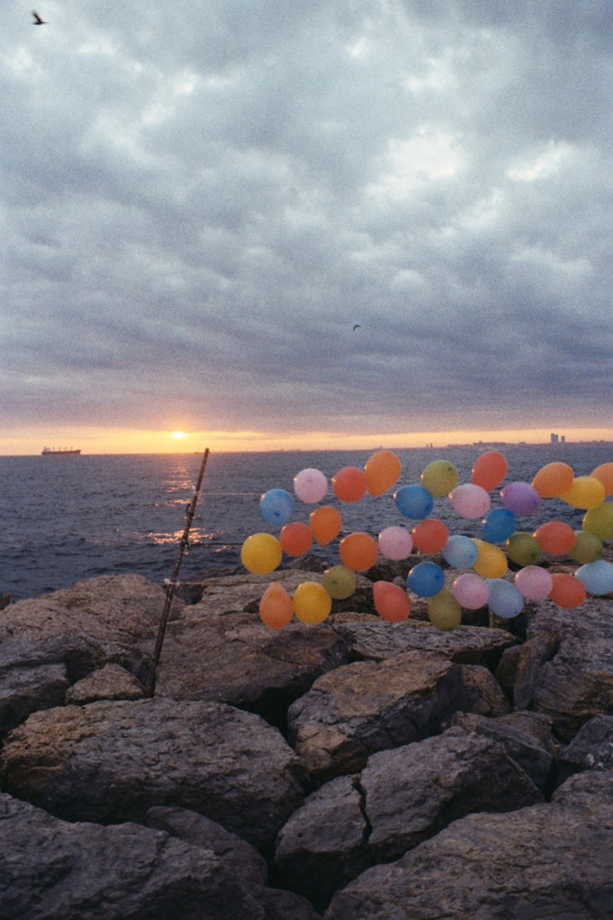 Tomorrow brings…who?- Day 7&nbsp;SOLSC