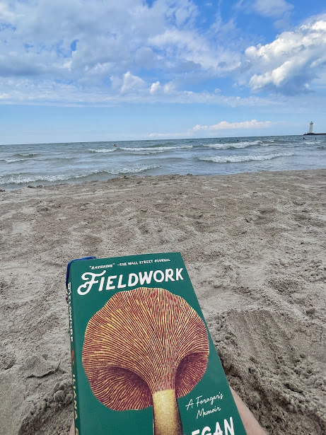 Harvesting Summer’s Bounty