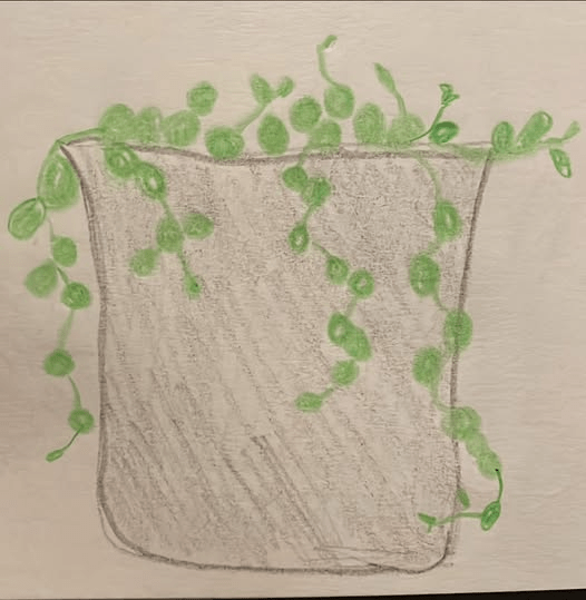 7 Tankafuls About Gratitude This&nbsp;Week